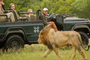 17-Daagse Prive Rondreis Zuid-Afrika: Tuinroute en Kruger Safari